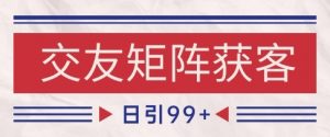 小红书某音交友赛道引流获客 自热矩阵日引200+【揭秘】-沐风资源库