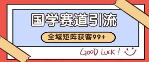 小红书某音国学赛道引流获客 自热矩阵日引200+【揭秘】-沐风资源库