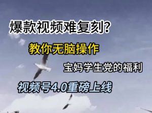 视频号4.0重磅上线，爆款视频难复刻？教你无脑操作宝妈学生党的福利【揭秘】-沐风资源库