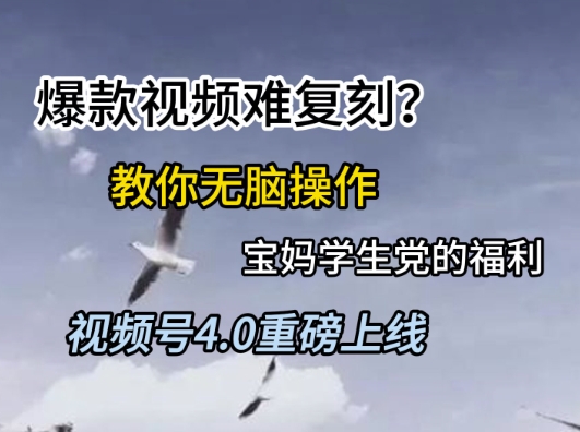 视频号4.0重磅上线，爆款视频难复刻？教你无脑操作宝妈学生党的福利【揭秘】-沐风资源库
