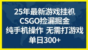 25年CSGO游戏搬砖，全自动挂G，不需要玩游戏，手机操作日入3张+【揭秘】-沐风资源库