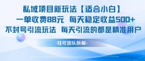 私域项目新玩法【适合小白】 一单收费88.每天稳定收益几张-沐风资源库