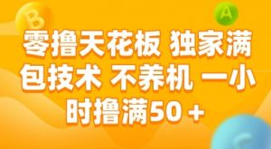 零撸天花板，独家满包技术 不养机 一小时撸满50+【揭秘】-沐风资源库