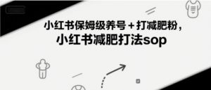 小红书保姆级养号+打减肥粉，小红书减肥打法sop-沐风资源库