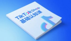 TikTok小店基础认知课，助力学员从 0 到 1 掌握 TikTok 电商运营全链路认知-沐风资源库