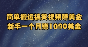 简单搬运搞笑视频挣美金，新手一个月入1k美金-沐风资源库