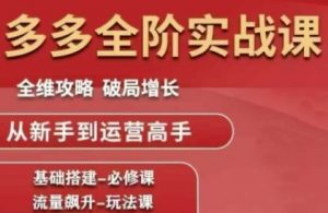 拼多多全阶实战课程，全维攻略，破局增长，从新手到运营高手-沐风资源库