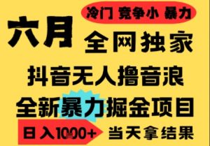 25年6月高爆抖音无人直播最新撸音浪掘金项目,小白可做,无脑日入1k+,门槛低可批量矩阵【揭秘】-沐风资源库