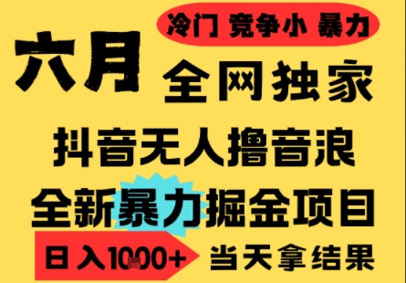 25年6月高爆抖音无人直播最新撸音浪掘金项目,小白可做,无脑日入1k+,门槛低可批量矩阵【揭秘】-沐风资源库