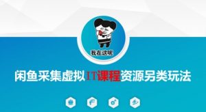 闲鱼采集虚拟IT课程资源另类玩法，干货满满-沐风资源库