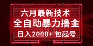 六月最新技术全自动暴力撸金，稳定日入2k+包起号，长期稳定【揭秘】-沐风资源库