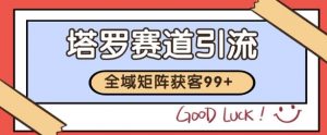 小红书某音塔罗赛道引流获客 自热矩阵日引200+【揭秘】-沐风资源库