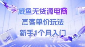 咸鱼无货源电商，高客单价玩法，新手1个月入门-沐风资源库