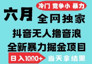2025年6月高爆抖音无人直播最新撸音浪掘金项目，无脑日入1k+，低门槛小白可做，可矩阵放大【揭秘】-沐风资源库