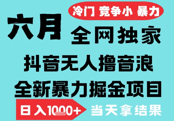 2025年6月高爆抖音无人直播最新撸音浪掘金项目，无脑日入1k+，低门槛小白可做，可矩阵放大【揭秘】-沐风资源库