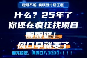 什么？25年你还在疯狂找项目做，醒醒吧，看完这些你全都懂了！【揭秘】-沐风资源库