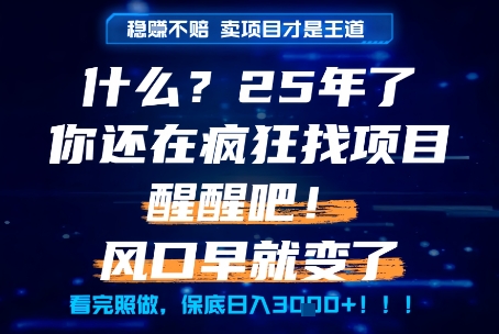 什么？25年你还在疯狂找项目做，醒醒吧，看完这些你全都懂了！【揭秘】-沐风资源库