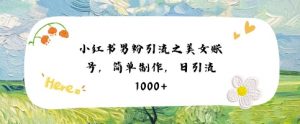 小红书男粉引流项目之美女账号6，简单制作，条条爆款原创，不违规-沐风资源库
