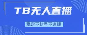 2025年TB无人直播带货10.0，全新技术，不违规，不封号，纯小白操作，日入1k【揭秘】-沐风资源库