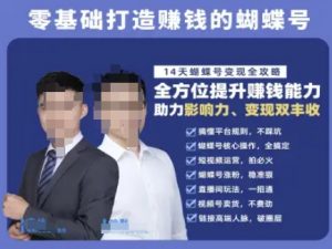 蝴蝶号专栏-视频号运营教程，零基础打造挣钱的蝴蝶号，14天蝴蝶号变现全攻略-沐风资源库
