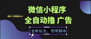 微信小程序全自动撸广告项目，彻底解决没流量的问题，新手一天8张+【揭秘】-沐风资源库