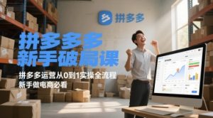 拼多多新手破局课，拼多多运营从0到1实操全流程，新手做电商必看-沐风资源库