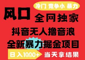 25年6月高爆抖音无人直播最新撸音浪掘金项目，解放双手小白可做，无脑日入1k+，门槛低【揭秘】-沐风资源库