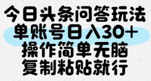 今日头条问答玩法，单账号日入30+，操作简单无脑复制粘贴就行-沐风资源库