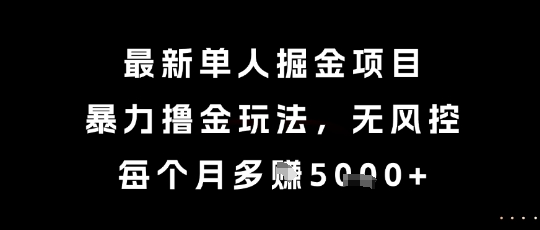 最新单人掘金项目，暴力撸金玩法，无风控，每个月多挣5k+【揭秘】-沐风资源库