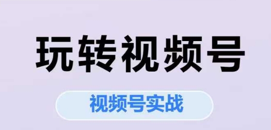 玩转视频号，视频号实战系列课-沐风资源库