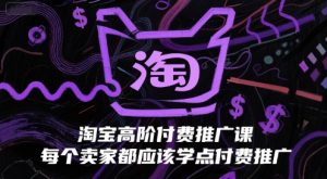淘宝高阶付费推广课，每个卖家都应该学点付费推广-沐风资源库