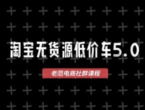 淘宝无货源2025VIP教程，​最新的淘宝无货源课程，1688代发，蓝海选品，零成本创业首选-沐风资源库