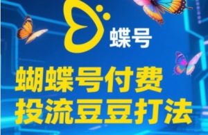 2025蝴蝶号付费投流豆豆打法，助新手快速掌握付费流量撬动自然流的核心玩法-沐风资源库