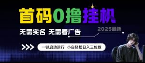首码0撸挂G项目，无需实名无需看广告 一键启动运行，小白轻松日入三位数【揭秘】-沐风资源库