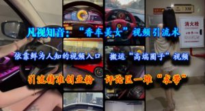 凡视知音:“香车美女”视频引流术,依靠鲜为人知的视频入口,搬运“高端圈子”视频,引流精准创业粉,评论区一堆“求带”-沐风资源库