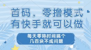 首码零撸项目，有快手就可以做，每天业务时间搞个几张不是问题【揭秘】-沐风资源库