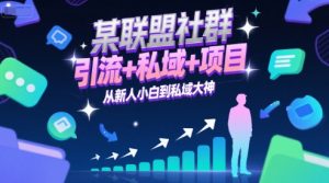 某联盟社群，引流+私域+项目，从新人小白到私域大神-沐风资源库