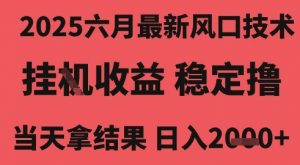 2025六月最新风口技术，无人挂G撸礼物，长期稳定 一个小时收益2k+，小白当天拿结果【揭秘】-沐风资源库