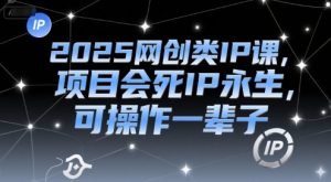 2025网创类IP课，项目会死IP永生，可操作一辈子-沐风资源库