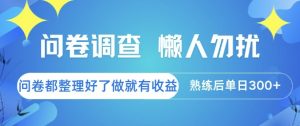 问卷调查，懒人勿扰，问卷都整理好了单价不等，做就有收益，熟练后单日3张【揭秘】-沐风资源库