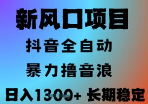 最新风口抖音无人直播撸音浪，全自动运行，小白可玩，长期稳定，日入1.3k，可批量收益翻倍【揭秘】-沐风资源库