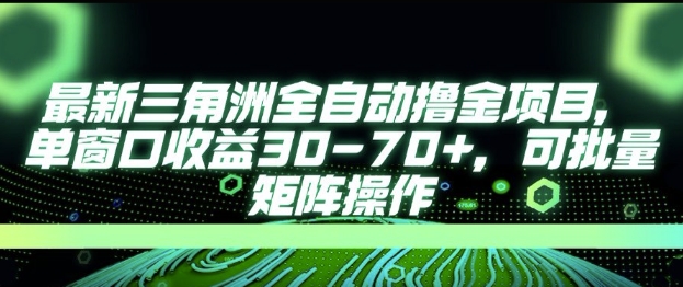 最新AI全自动游戏撸金项目，单窗口收益30-70+，可批量操作【揭秘】-沐风资源库