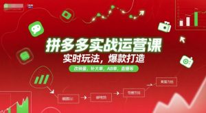 拼多多实战运营课，实时玩法，爆款打造，改销量，补大单，AB单，直播等（更新2025月）-沐风资源库