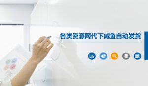 各类资源网代下咸鱼自动发货-沐风资源库