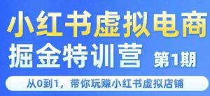 小红书虚拟电商掘金特训营第1期，从0到1，带你玩转小红书虚拟店铺-沐风资源库