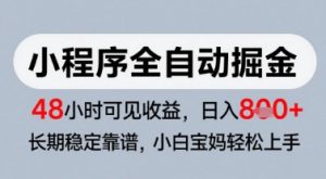 微信小程序全自动掘金，快速见收益，长期稳定靠谱，零基础友好，日入8张【揭秘】-沐风资源库