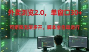 外卖浏览2.0，单窗口30+可矩阵无限多开，脚本全自动运行【揭秘】-沐风资源库