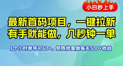 最新首码项目，一键拉新有手就能做，几秒钟一单，1个小时单号可60+，矩阵批量做每天5张【揭秘】-沐风资源库