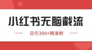 小红书截流同行客源，独家野路子获客玩法 日引200+暴力获客【揭秘】-沐风资源库