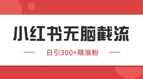 小红书截流同行客源，独家野路子获客玩法 日引200+暴力获客【揭秘】-沐风资源库
